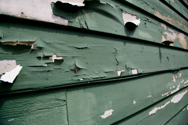 Best Hoarding Cleanup  in Ashland, CA